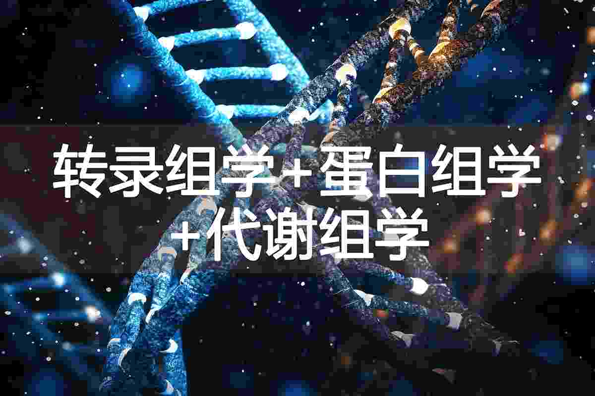 /products_Microscope.html