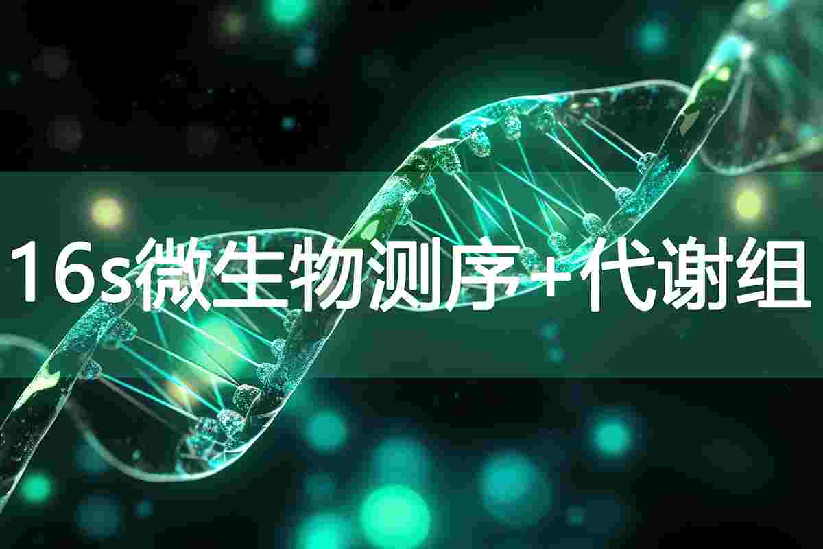 /products_Microscope.html